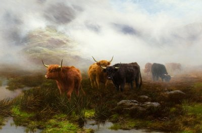 Moorland og Mist af Peter Graham
