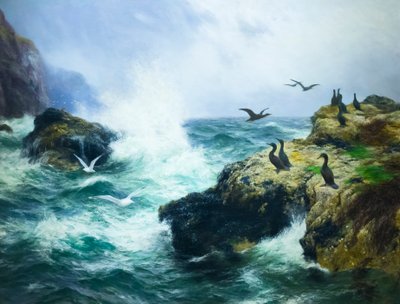 Rocky shore (olie på lærred) af Peter Graham