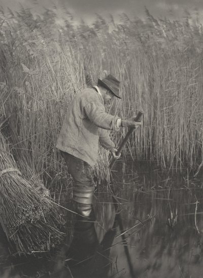 A Reed-Cutter at Work, 1886. Skabere: Dr. Peter Henry Emerson, Thomas Frederick Goodall. af Peter Henry Emerson, Thomas Frederick Goodall