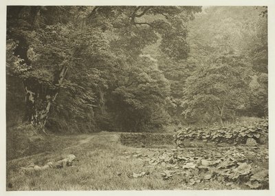 En stille krog i Beresford Dale af Peter Henry Emerson