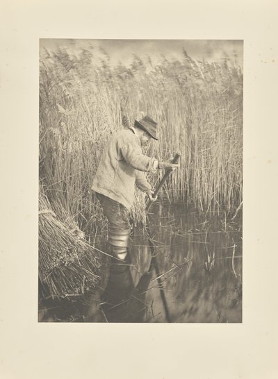  af Peter Henry Emerson