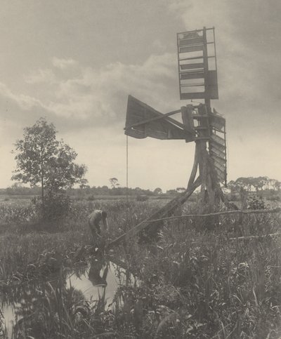En ødelagt Vandmølle af Peter Henry Emerson