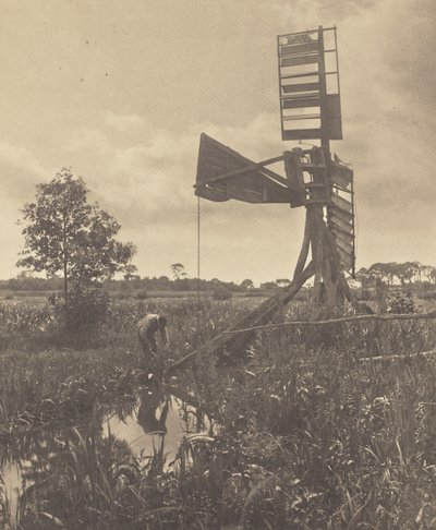  af Peter Henry Emerson