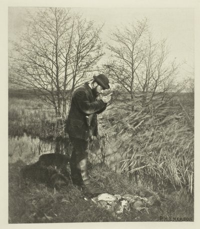 At the Covert Corner (Norfolk) af Peter Henry Emerson