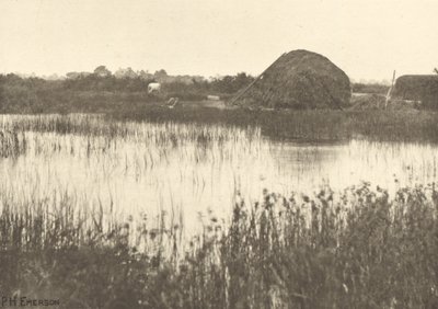 Efterårets oversvømmelser af Peter Henry Emerson