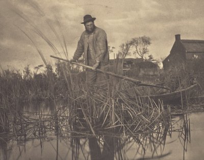 Skæring af Gladdon af Peter Henry Emerson