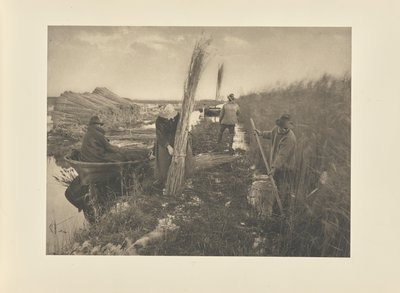 Under høsten af tagrør af Peter Henry Emerson