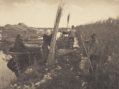  af Peter Henry Emerson