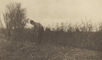 Hegn i Suffolk af Peter Henry Emerson