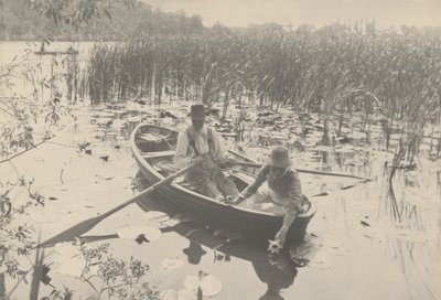 Indsamling af åkander af Peter Henry Emerson