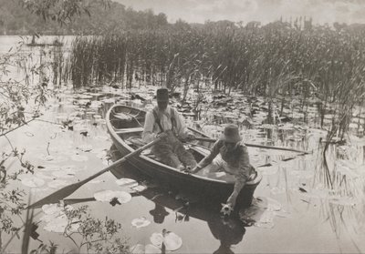 Indsamling af vandliljer af Peter Henry Emerson