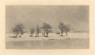 knudrede tornetræer af Peter Henry Emerson