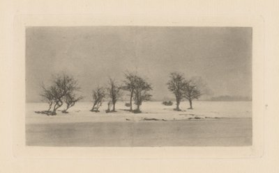 knudrede tornetræer af Peter Henry Emerson