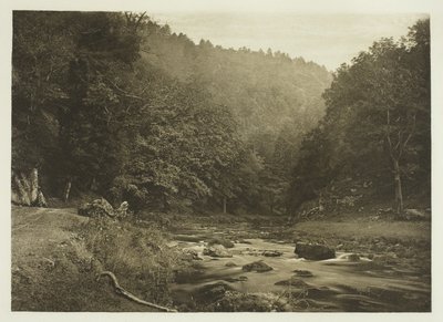 I Dove Dale (Staffordshire-siden) af Peter Henry Emerson