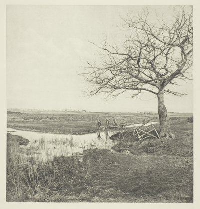 Leafless March (Suffolk) af Peter Henry Emerson