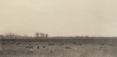 Marsk ved Vesterhavet, 1890-1891, trykt 1893. af Peter Henry Emerson