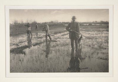 Mænd på jagt i en mose af Peter Henry Emerson