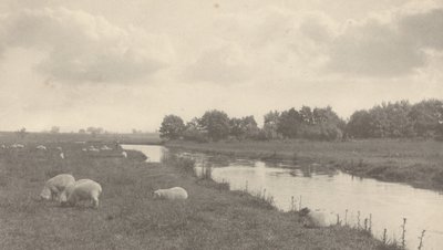 Ved floden Bure, 1886. af Peter Henry Emerson