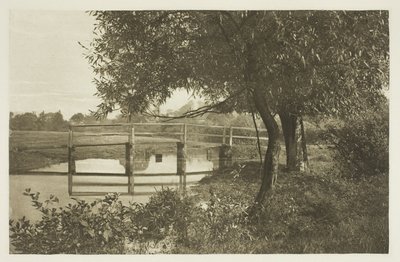 På "Sow" i nærheden af Waltons hus i Shallowford af Peter Henry Emerson