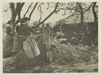 Osier-Peeling (Norfolk) af Peter Henry Emerson
