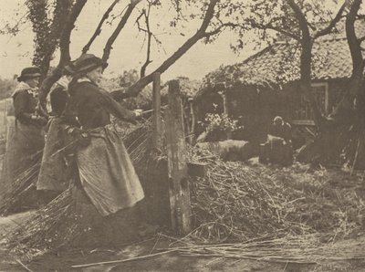 OsierPeeling. [Norfolk]]. af Peter Henry Emerson