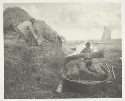 Ricking the Reed af Peter Henry Emerson