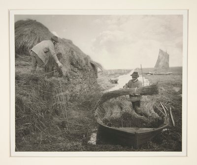 Ricking the Reed af Peter Henry Emerson