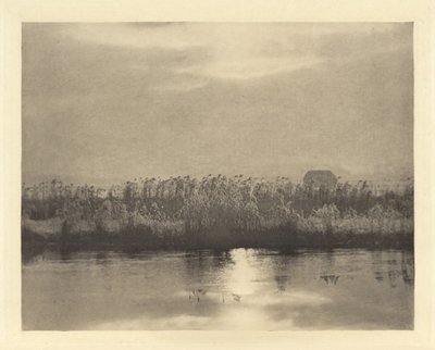 Rime krystaller af Peter Henry Emerson