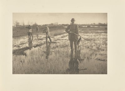  af Peter Henry Emerson