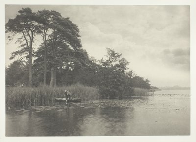 Geddens tilholdssted af Peter Henry Emerson