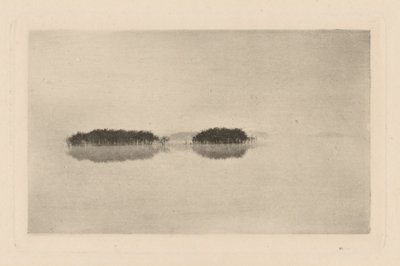 Den ensomme lagune af Peter Henry Emerson