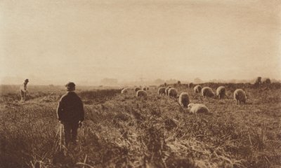 The Marshes i juni, 1890-1891, trykt 1893. af Peter Henry Emerson