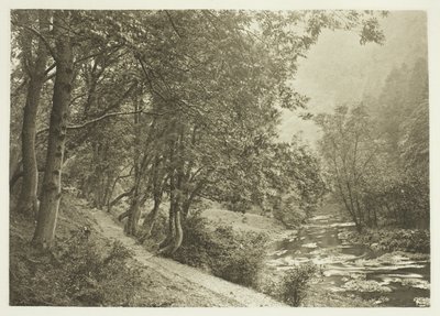 Stien over First Brae, Dove Dale af Peter Henry Emerson