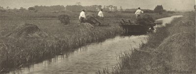  af Peter Henry Emerson