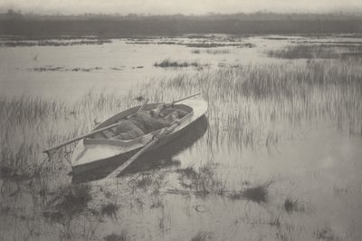 Gunner arbejder op til høns af Peter Henry Emerson and T.F. Goodall
