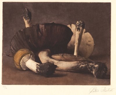 Gul champignon af Peter Vilhelm Ilsted