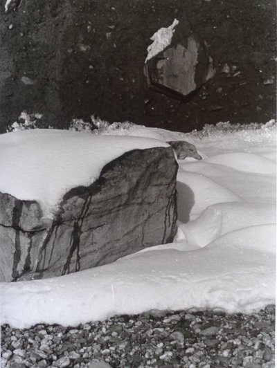 VINTAGE B&W FOTO No.3, 1985, (FOTO) af Peter McClure