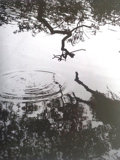 VINTAGE S/H-foto nr. 5, 1986, (FOTOGRAF) af Peter McClure