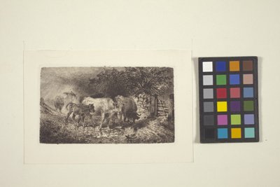 Bygevejr (blæk) af Peter Moran