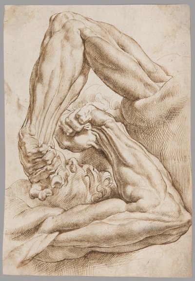 Et ark med anatomiske studier af Peter Paul Rubens
