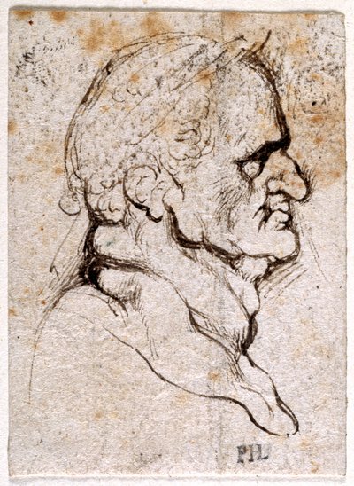 Galba, fra ti tegninger af otte af de første tolv Cæsarer, efter Giovanni da Cavinos medaljer (pen og blæk på papir) af Peter Paul Rubens
