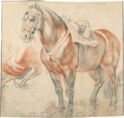 Sadlet hest. Omkring 1615-18 af Peter Paul Rubens