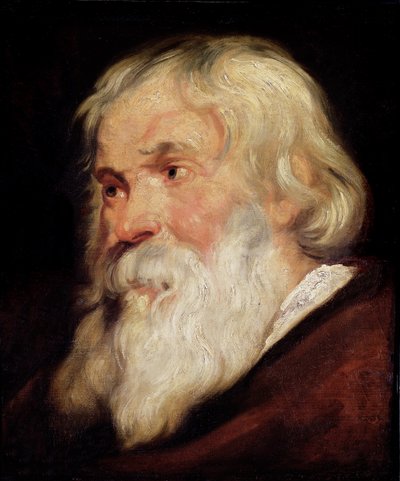 Hoved af en gammel mand af Peter Paul Rubens