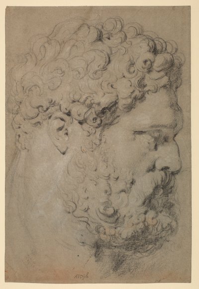 Leder af Farnese Hercules af Peter Paul Rubens