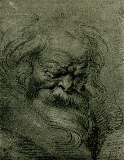 Hovedstudie for Bacchus af Peter Paul Rubens