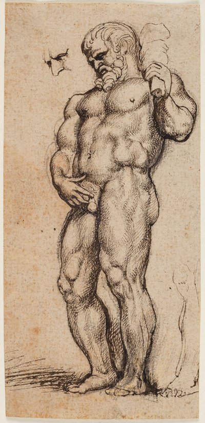 Herkules af Peter Paul Rubens