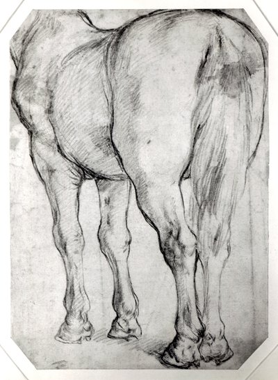 Hestens Ryg af Peter Paul Rubens
