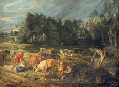 Landskab med en flok køer af Peter Paul Rubens