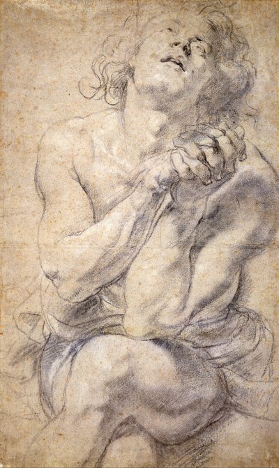 Siddende mandlig ungdom (undersøgelse til Daniel) af Peter Paul Rubens