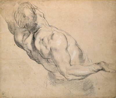 Studie af en nøgen mandlig Torso, 1600-1640 af Peter Paul Rubens